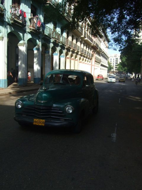 33800.jpg